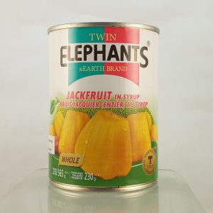 FRUIT JACQUIER SIROP 24/565g TWIN ELEPHANTS jackfruit in sirup 12.22*
