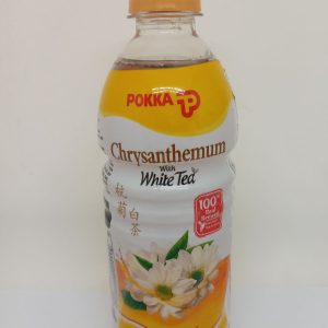 THE CHRYSANTHEME 24/500ml POKKA 48040 chrysanthemum tea *R07.23 *