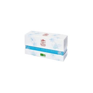 COFFRET INF JARDINS D'ASIE 25u 6/49g THE DE LA PAGODE CDGI 01.24 *