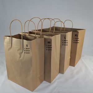 SAC KRAFT A/HANSE XL 320*280*220mm 10/25pcs 01.25