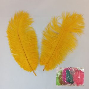 PLUME DECOR COULEUR MIX 2pcs 500pcs/ctn 1-2 P26 *RUP01.24*