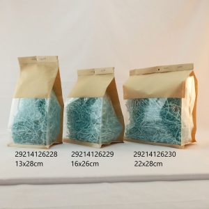 SACHET KRAFT 22*28cm 50pcs/20bag/ctn 1-5 06.26 PLION1