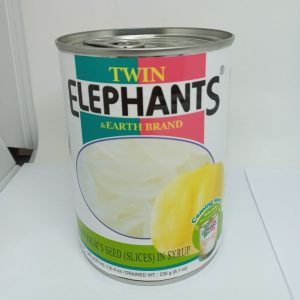 FRUIT PALMIER EMINCE 12/565g TWIN ELEPHANTS #KETPSL toddy palm 09.26