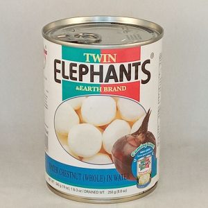 CHATAIGNE D'EAU 24/540g TWIN ELEPHANTS water chestnut 08.26